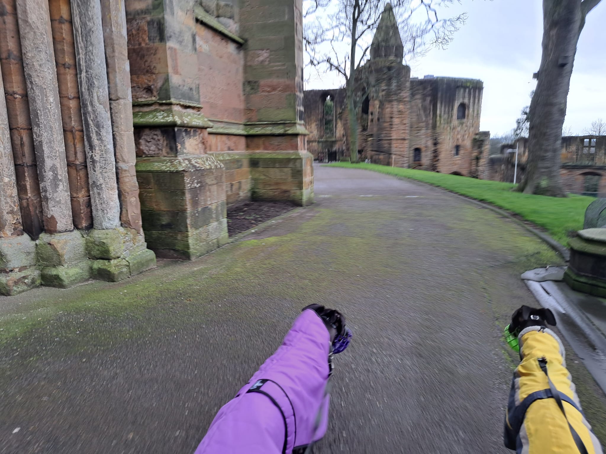 Exploring the Abbey – Visiting Dunfermline With Dogs