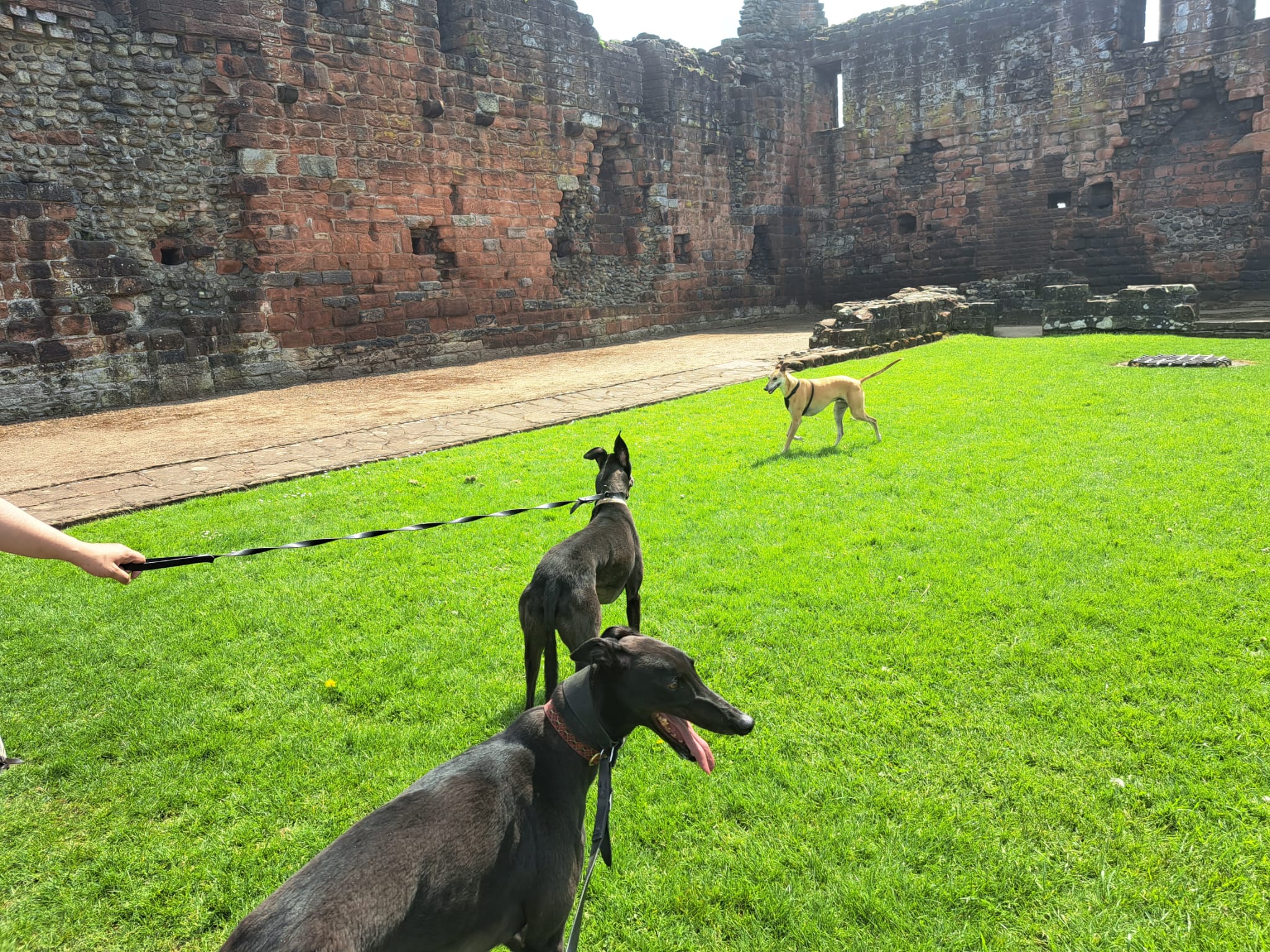 Lads in the Lake District – Visiting Penrith With Dogs