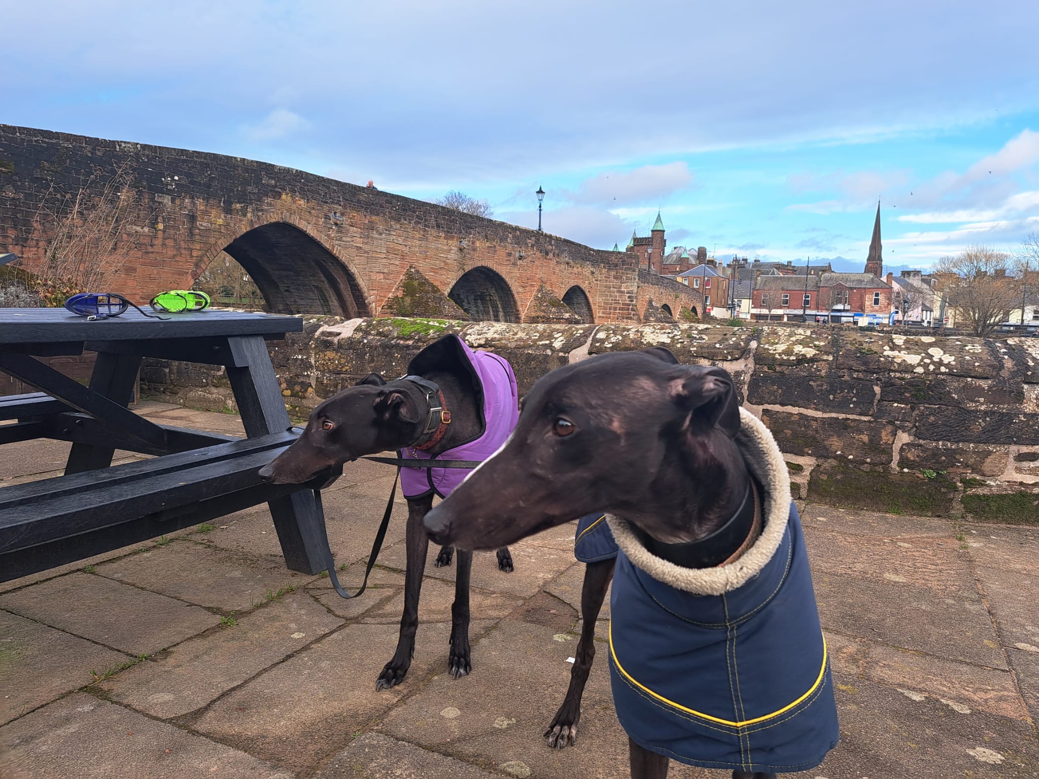 Buddies at the Home of Burns – Visiting Dumfries With Dogs