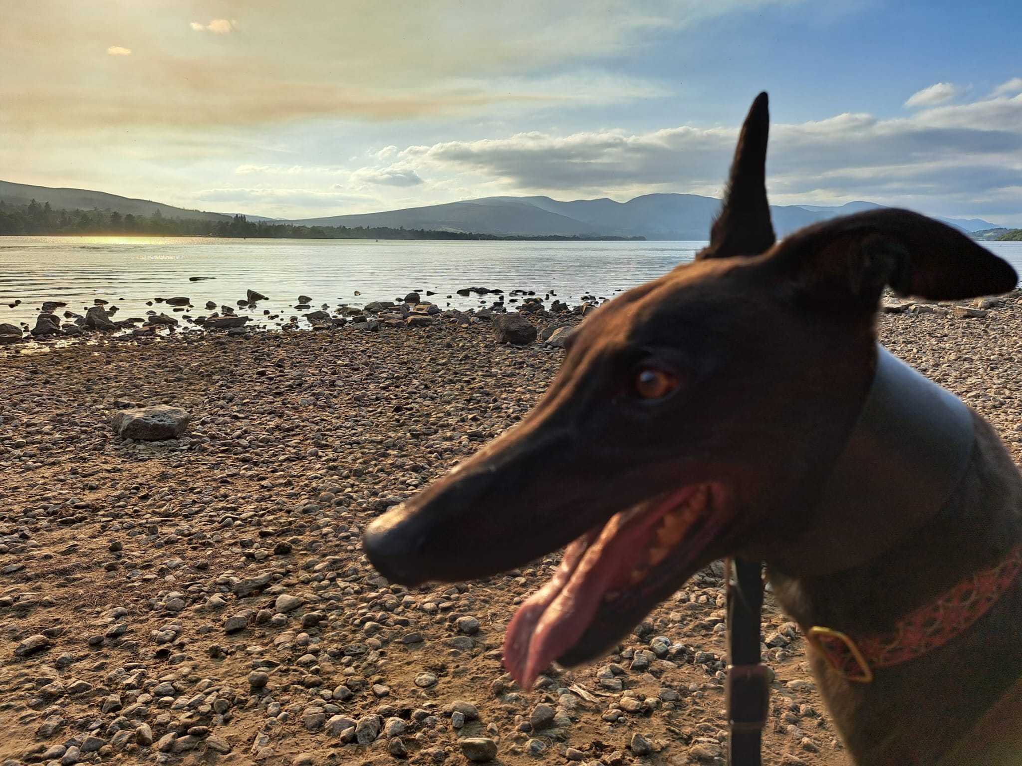 Lovely Loch Lomond – Visiting Balloch With Dogs