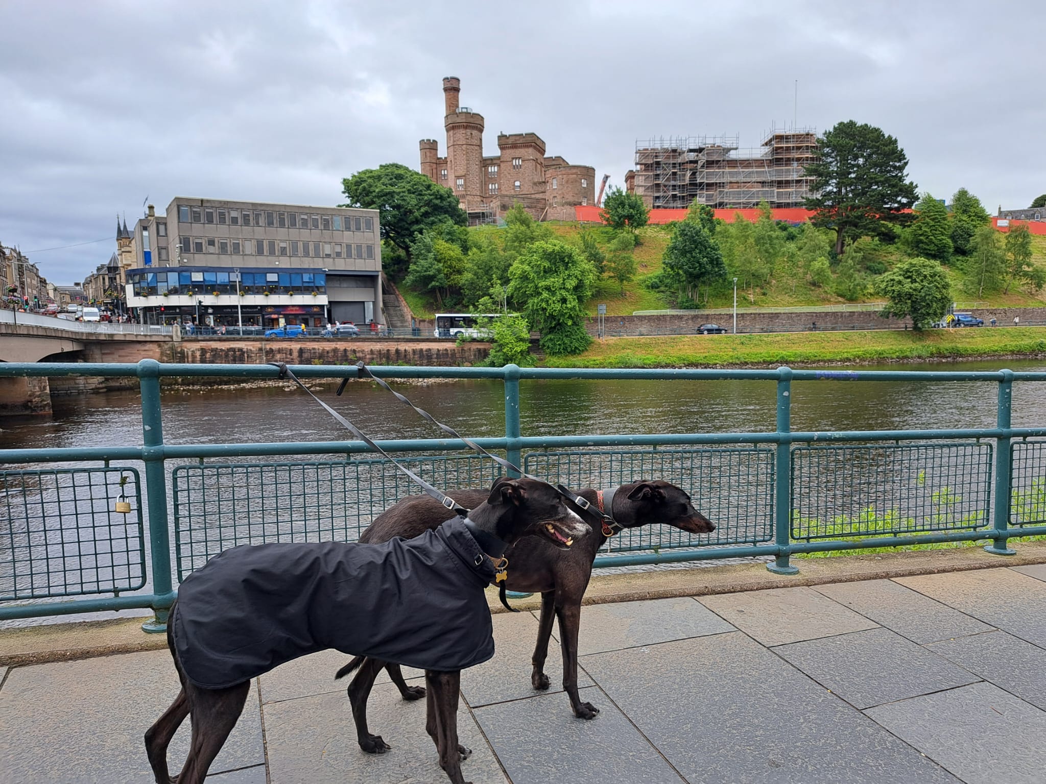 Highland Heaven – Visiting Inverness With Dogs